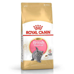 Royal Canin British Shorthair Kitten Yavru Kedi Maması 2 Kg