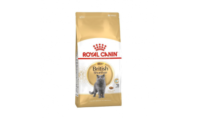 Royal Canin British Shorthair Yetişkin Kedi Maması 4 Kg
